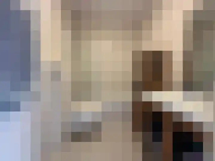Adelaartlaan 51 Geldrop thumbnail 29