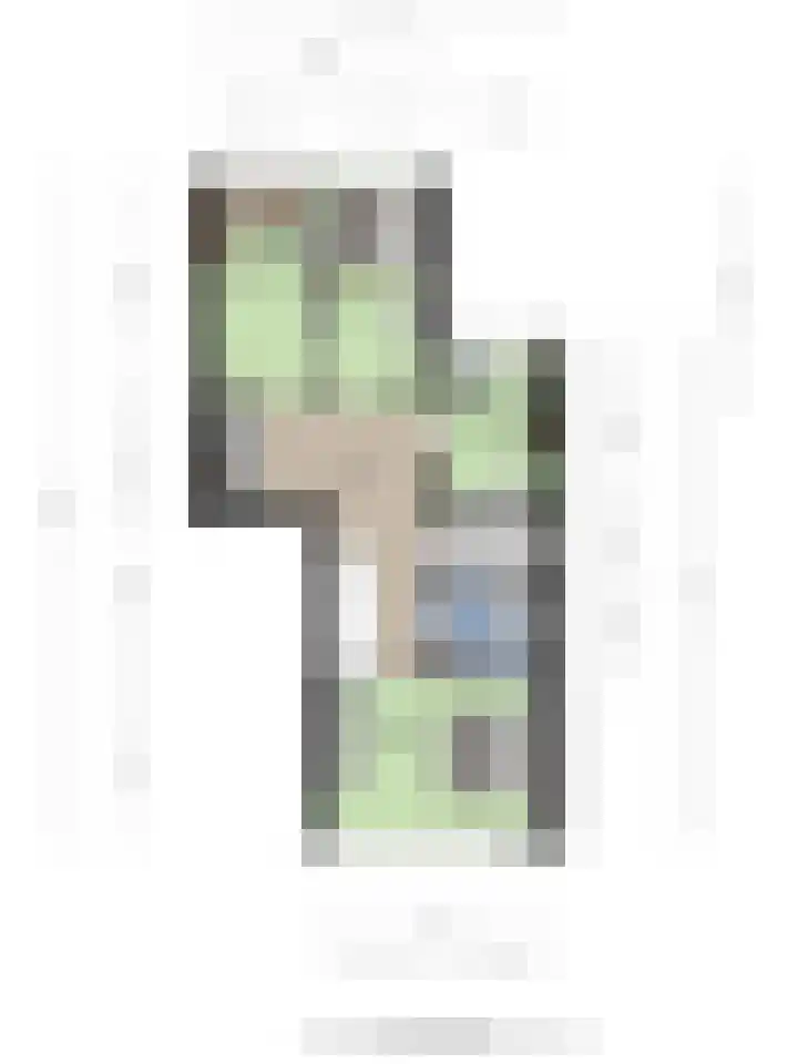 Adelaartlaan 51 Geldrop thumbnail 31