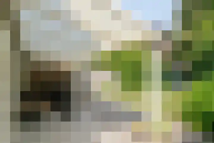 Adelaartlaan 51 Geldrop thumbnail 33
