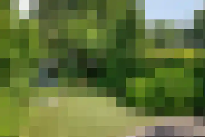 Adelaartlaan 51 Geldrop thumbnail 34