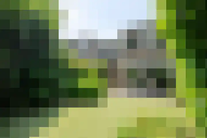 Adelaartlaan 51 Geldrop thumbnail 35