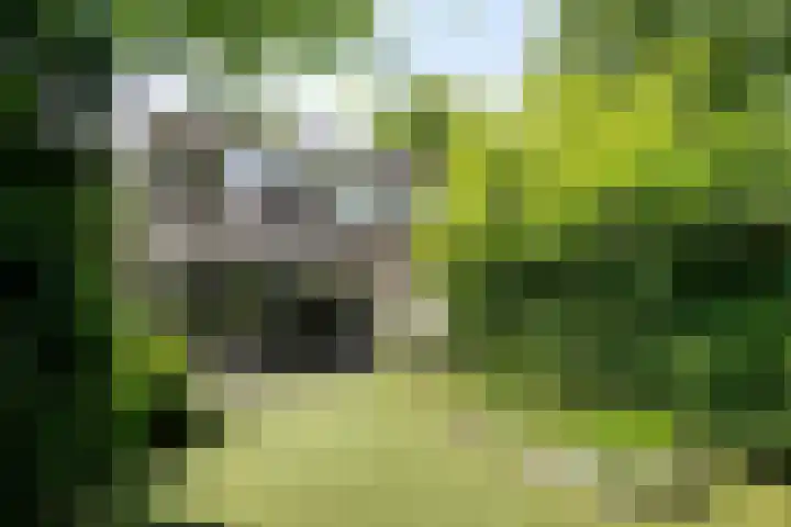Adelaartlaan 51 Geldrop thumbnail 36