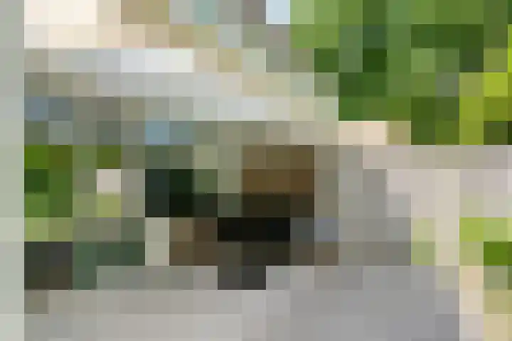 Adelaartlaan 51 Geldrop thumbnail 38
