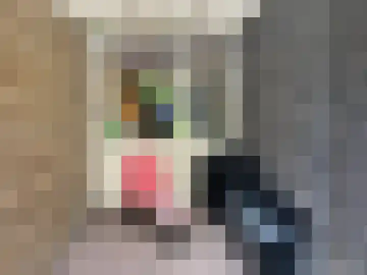 Adelaartlaan 51 Geldrop thumbnail 39