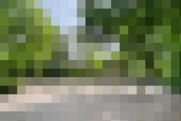 Adelaartlaan 51 Geldrop thumbnail 40