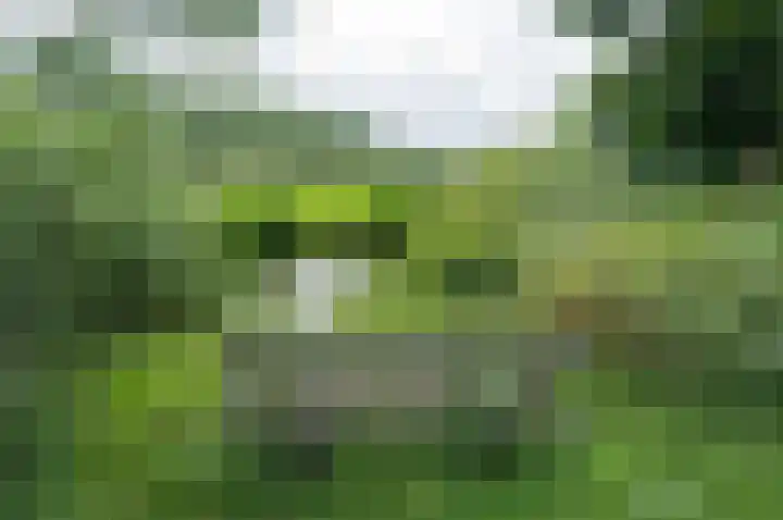 Adelaartlaan 51 Geldrop thumbnail 41