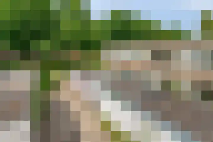 Adelaartlaan 51 Geldrop thumbnail 42