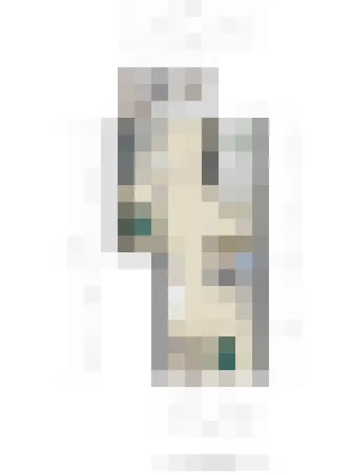 Adelaartlaan 51 Geldrop thumbnail 44