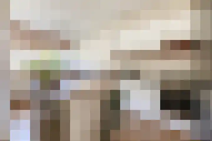 Adelaartlaan 53 Geldrop thumbnail 10