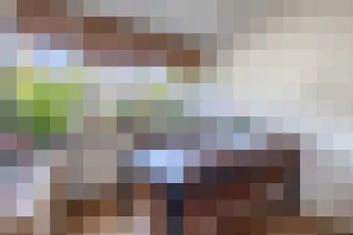 Adelaartlaan 53 Geldrop thumbnail 15