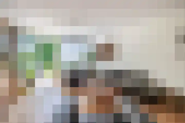 Adelaartlaan 53 Geldrop thumbnail 18