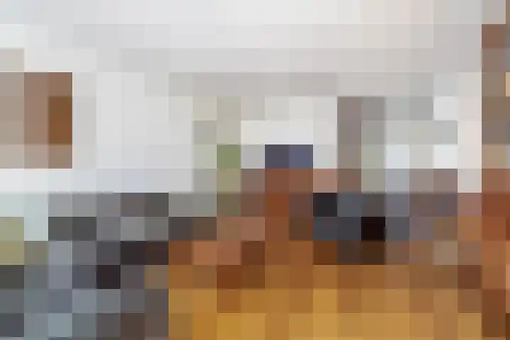 Adelaartlaan 53 Geldrop thumbnail 20