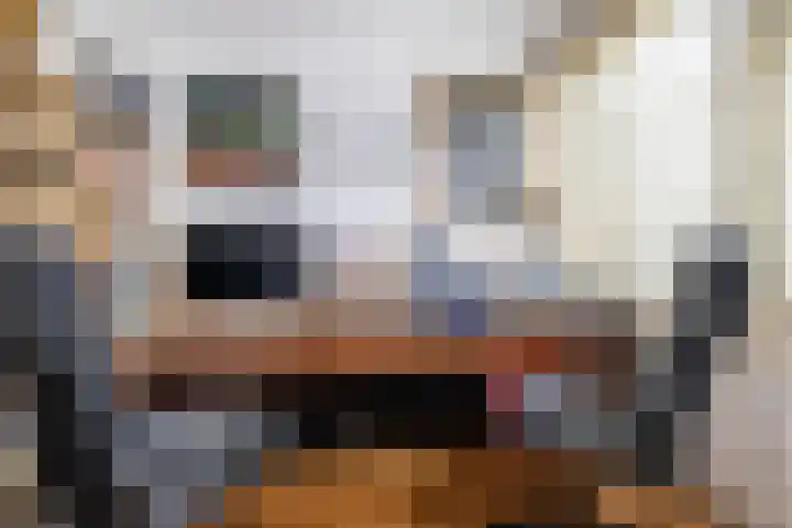 Adelaartlaan 53 Geldrop thumbnail 22