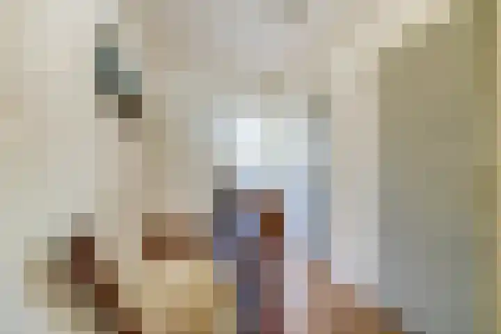 Adelaartlaan 53 Geldrop thumbnail 25