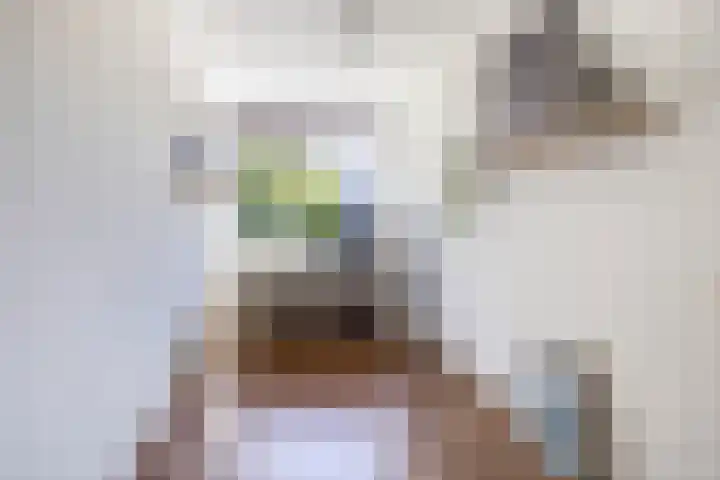 Adelaartlaan 53 Geldrop thumbnail 32