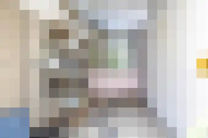 Adelaartlaan 53 Geldrop thumbnail 37