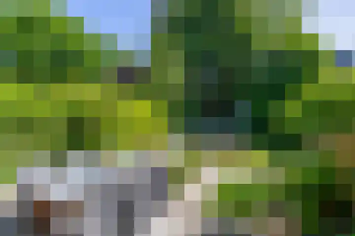 Adelaartlaan 53 Geldrop thumbnail 39