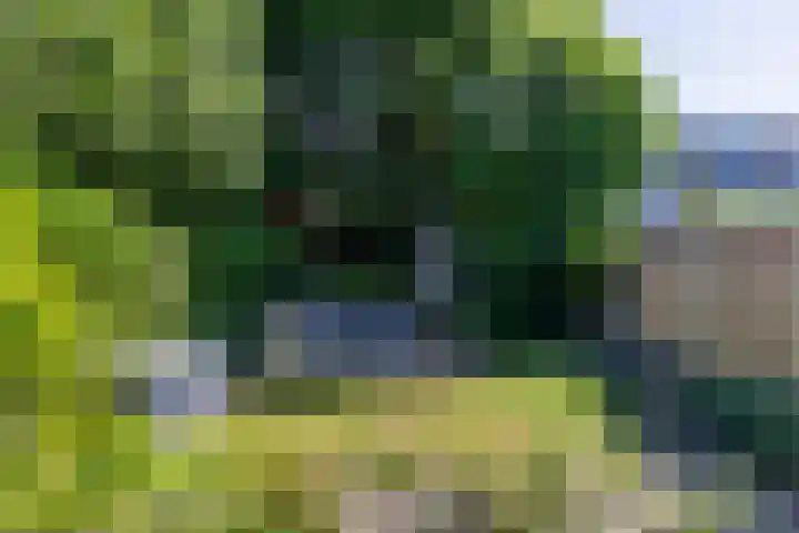 Adelaartlaan 53 Geldrop thumbnail 4