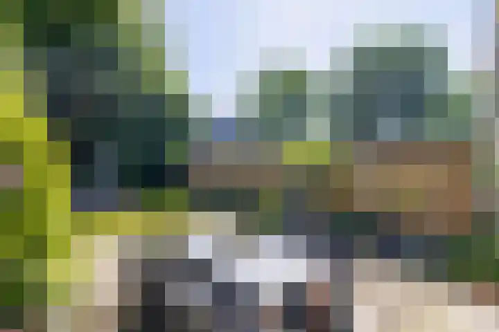 Adelaartlaan 53 Geldrop thumbnail 40