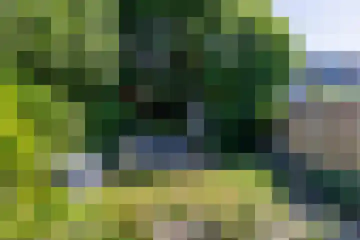 Adelaartlaan 53 Geldrop thumbnail 41