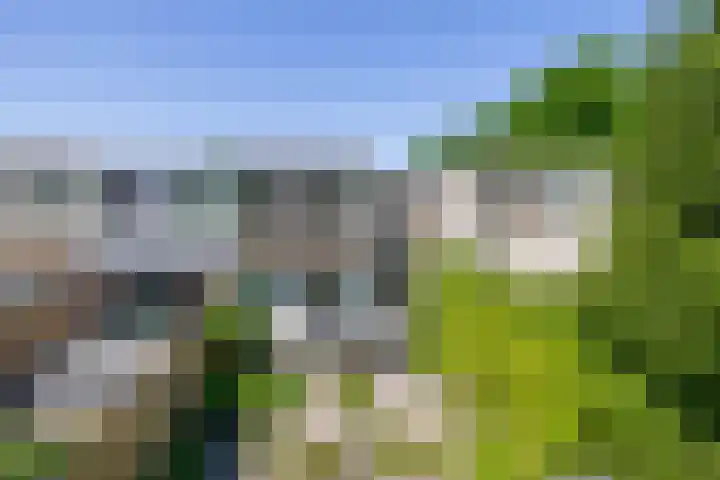 Adelaartlaan 53 Geldrop thumbnail 44