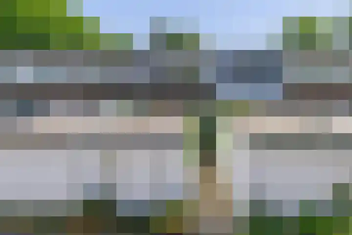 Adelaartlaan 53 Geldrop thumbnail 5