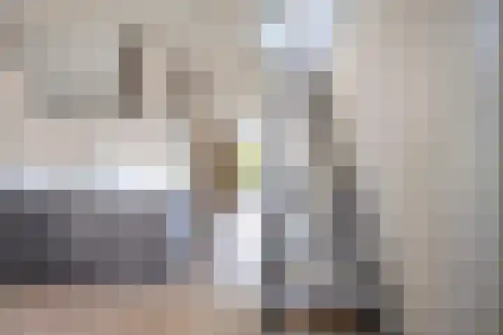 Adelaartlaan 57 Geldrop thumbnail 14