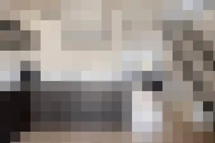 Adelaartlaan 57 Geldrop thumbnail 17