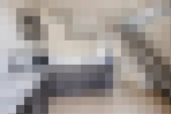 Adelaartlaan 57 Geldrop thumbnail 18