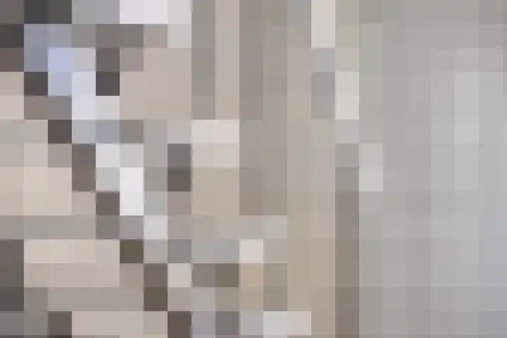 Adelaartlaan 57 Geldrop thumbnail 19