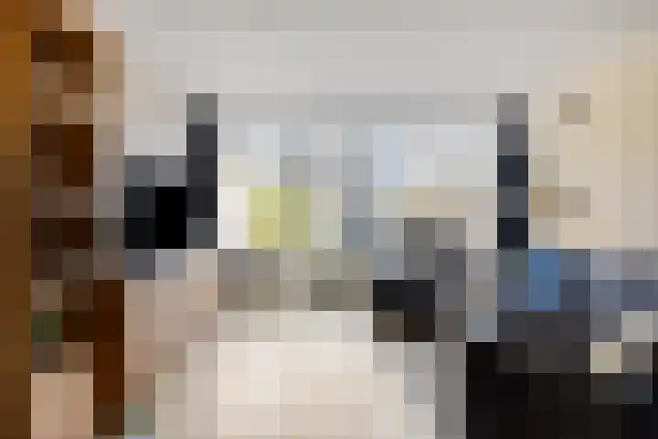 Adelaartlaan 57 Geldrop thumbnail 22