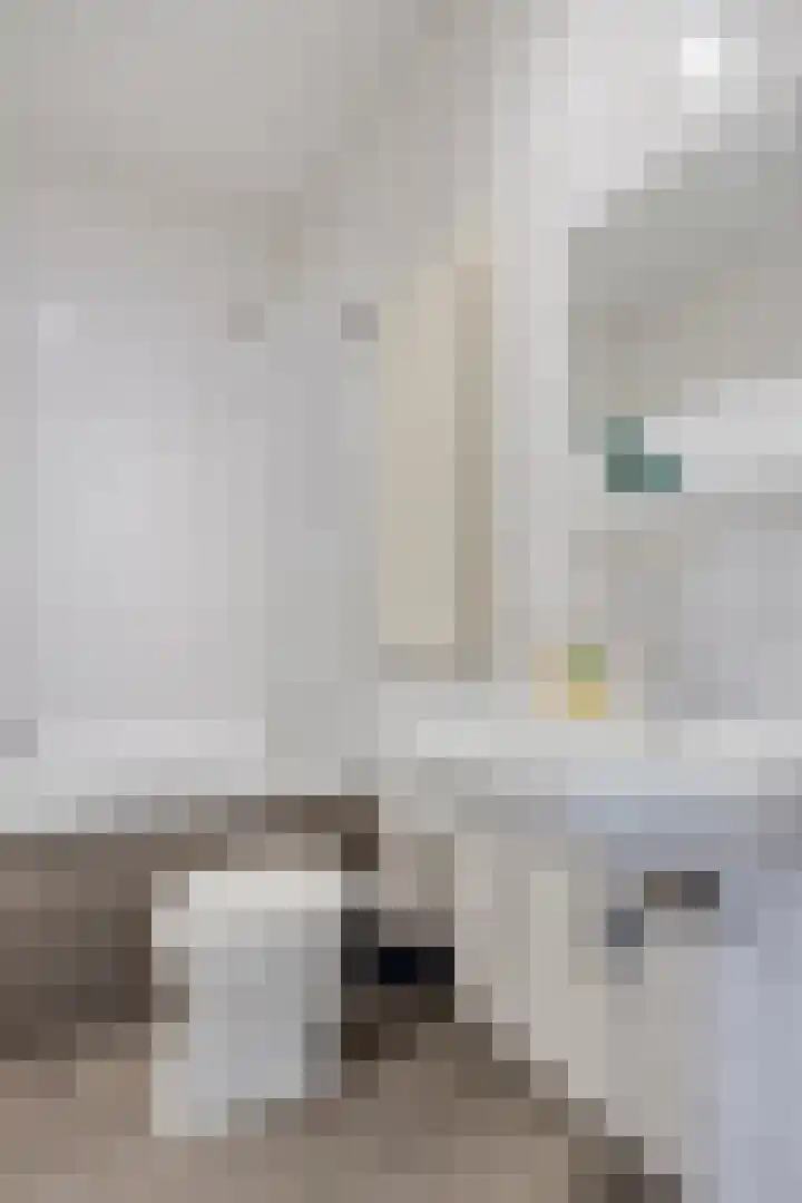 Adelaartlaan 57 Geldrop thumbnail 39
