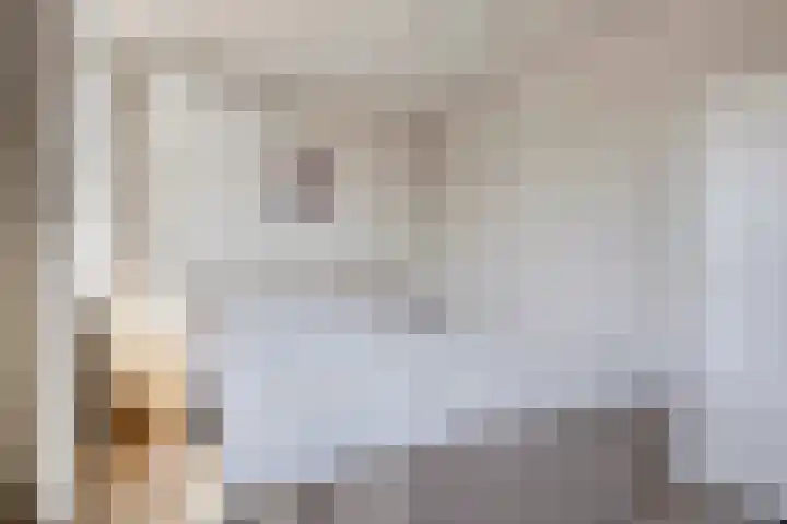 Adelaartlaan 57 Geldrop thumbnail 4