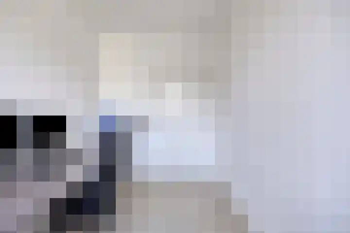 Adelaartlaan 57 Geldrop thumbnail 46