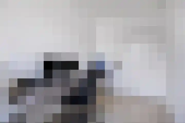 Adelaartlaan 57 Geldrop thumbnail 47
