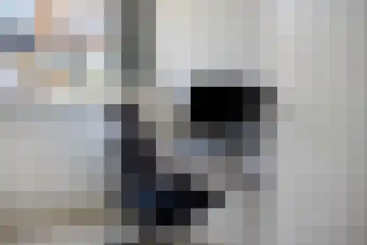 Adelaartlaan 57 Geldrop thumbnail 48