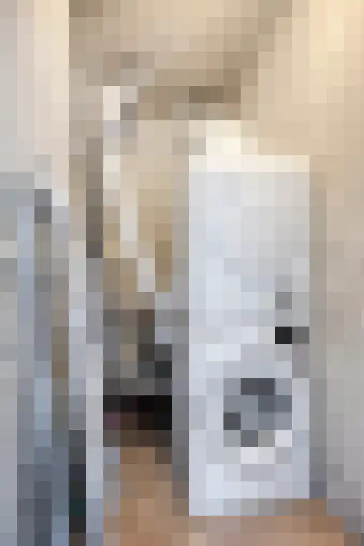 Adelaartlaan 57 Geldrop thumbnail 51