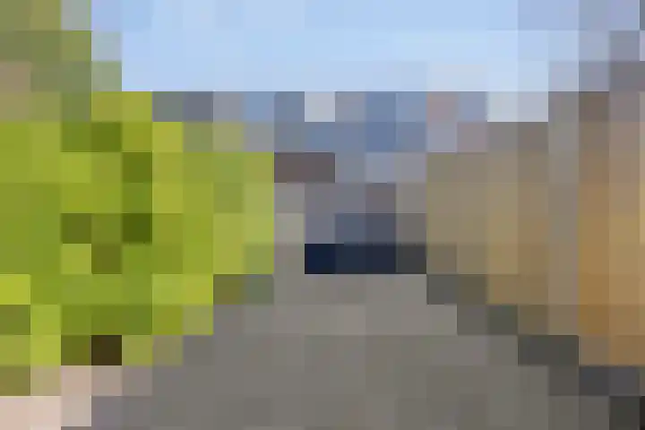 Adelaartlaan 57 Geldrop thumbnail 53