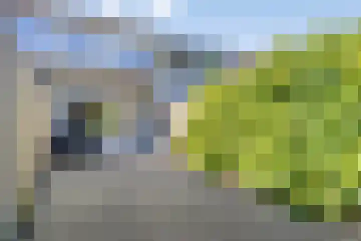 Adelaartlaan 57 Geldrop thumbnail 54