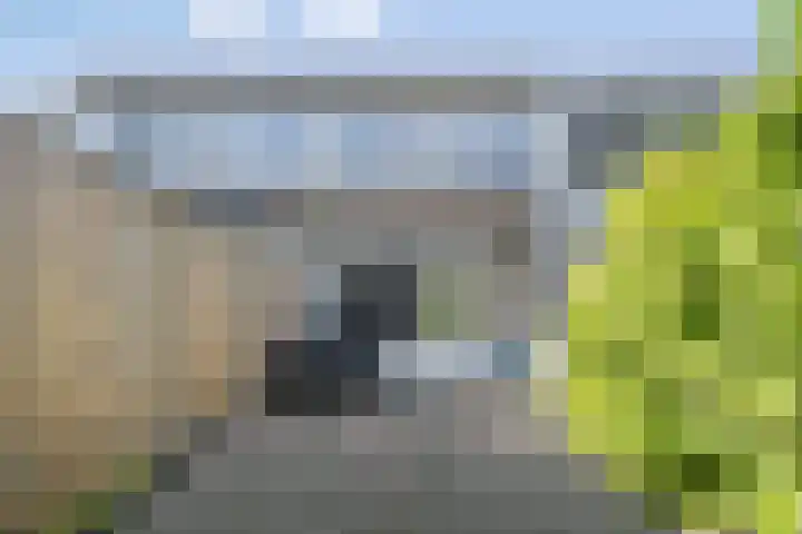 Adelaartlaan 57 Geldrop thumbnail 55