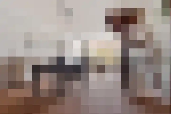 Adelaartlaan 62 Geldrop thumbnail 22