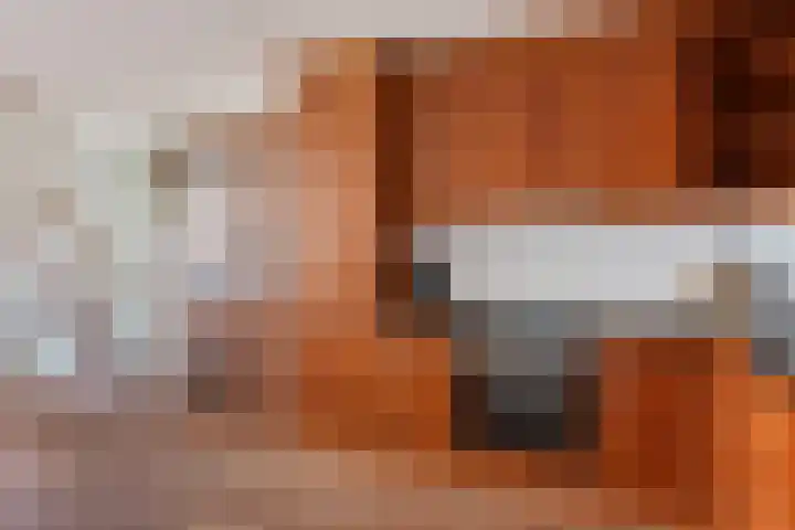 Adelaartlaan 62 Geldrop thumbnail 25