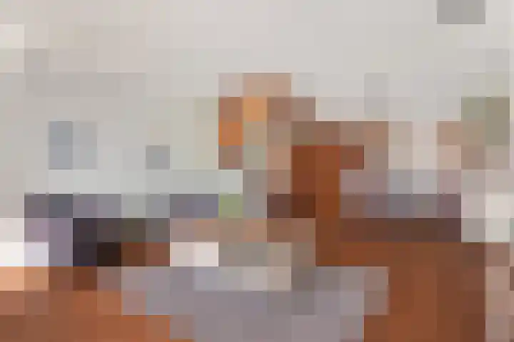 Adelaartlaan 62 Geldrop thumbnail 29