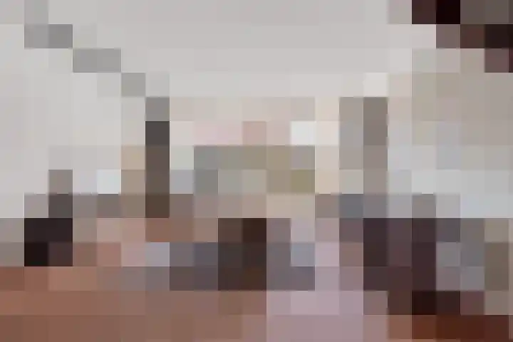 Adelaartlaan 62 Geldrop thumbnail 31