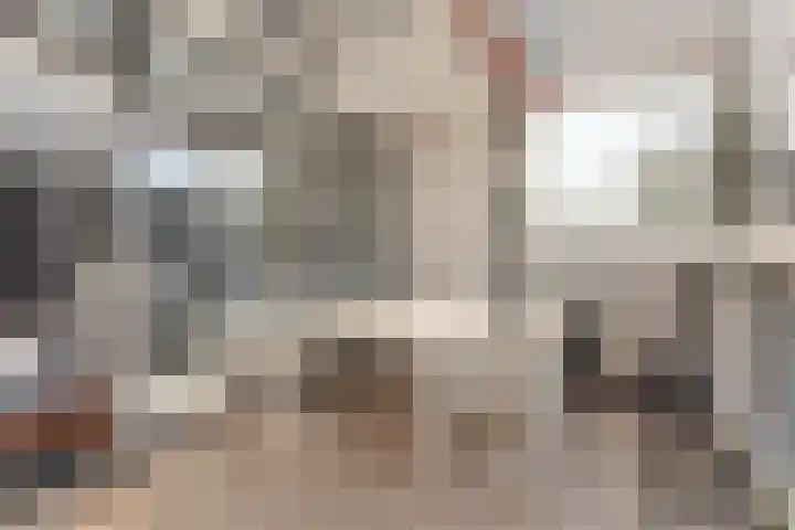 Adelaartlaan 62 Geldrop thumbnail 34