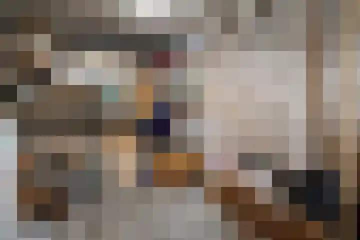 Adelaartlaan 62 Geldrop thumbnail 35