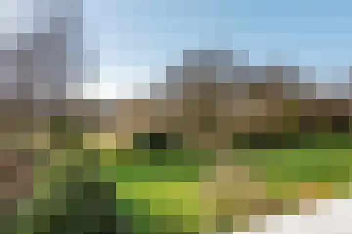 Adelaartlaan 62 Geldrop thumbnail 36