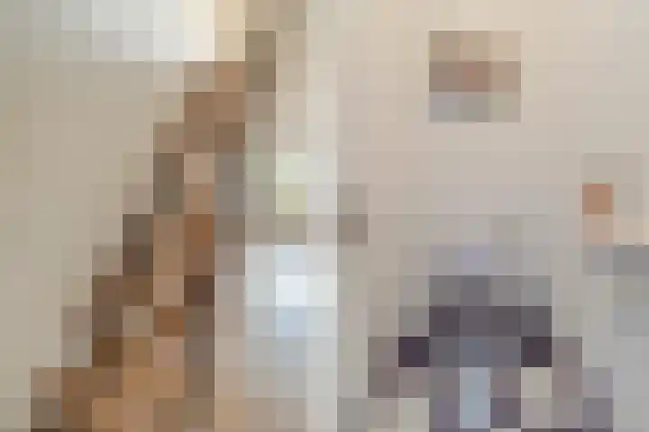 Adelaartlaan 73 Geldrop thumbnail 11