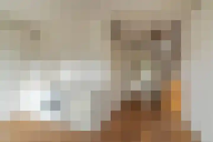 Adelaartlaan 73 Geldrop thumbnail 14
