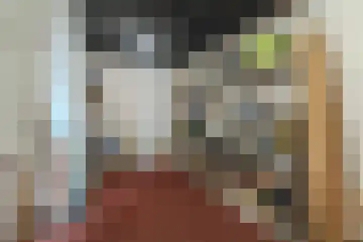 Adelaartlaan 73 Geldrop thumbnail 15